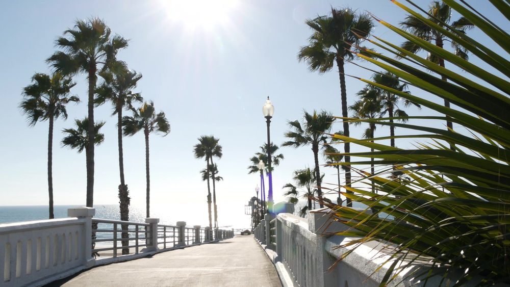 los angeles california beach with palm trees